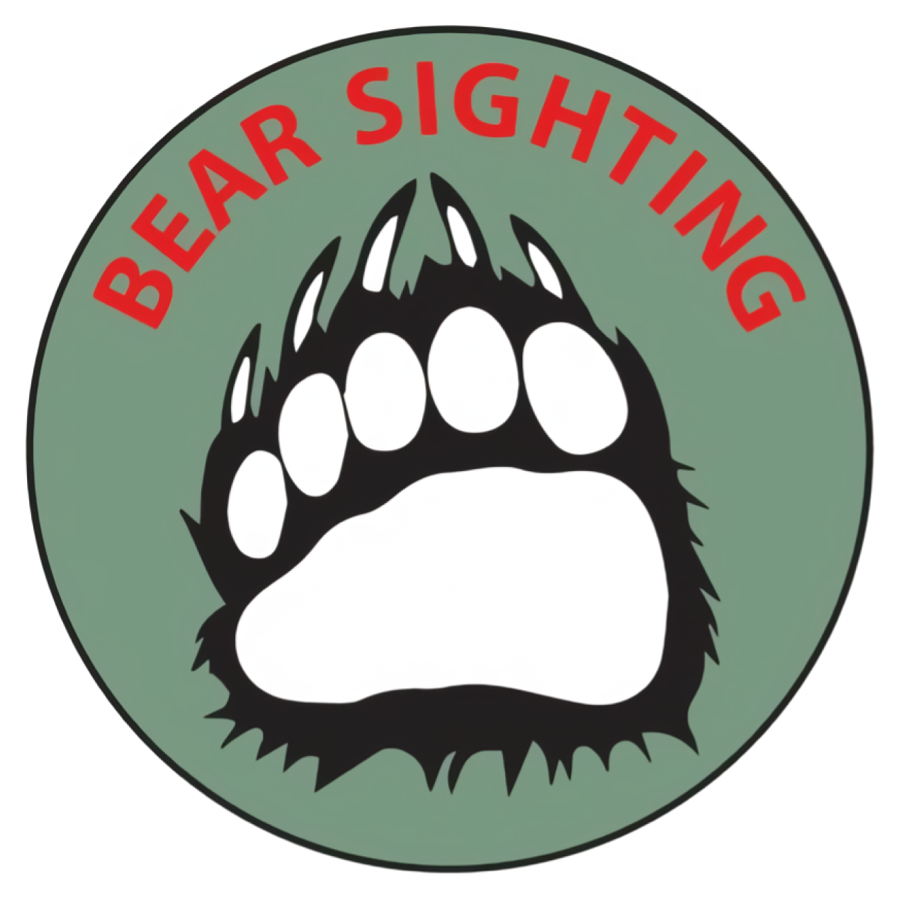 Bear Sighting Vinyl Sticker