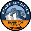 Sharp Top Vinyl Sticker